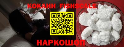 гидропоника Камышлов