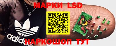 гидропоника Камышлов
