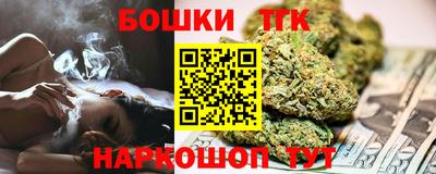 гидропоника Камышлов