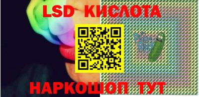 гидропоника Камышлов