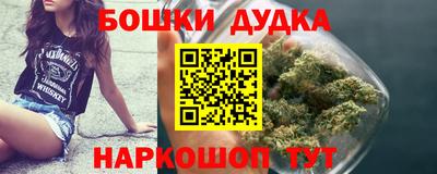 гидропоника Камышлов