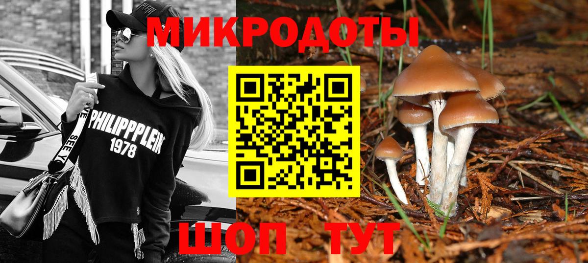 Галлюциногенные грибы мицелий  Галлюциногенные грибы Psilocybine cubensis  Вход с VPN  Красный Сулин 
